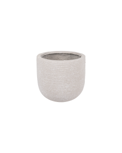 Pansy Plant Pot