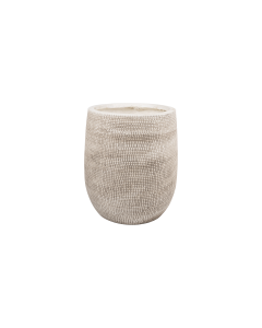 Rheum Plant Pot Archaize