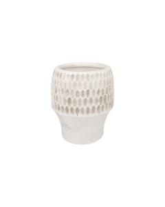 Senecio Plant Pot