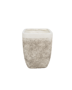 Bouvardia Plant Pot White Cement