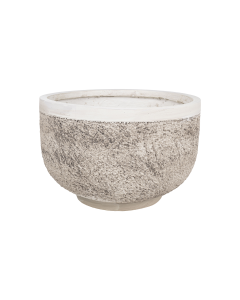 Pyrus Plant Pot Archaize White Cement