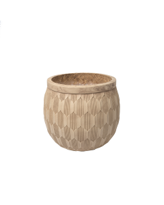 Zinnia Plant Pot
