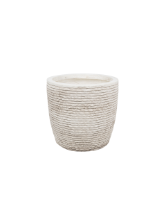 Salvia Plant Pot
