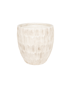 Helxine Plant Pot Light Beige Cement