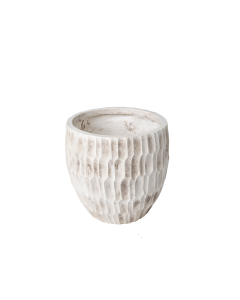 Helxine Plant Pot Light Beige Cement