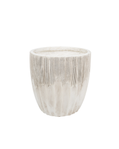 Fittonia Plant Pot Light Beige Cement