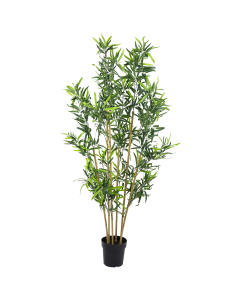 Bamboo Tree - Black