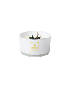 Takara Scented Candles White Floral Scent 10.5z