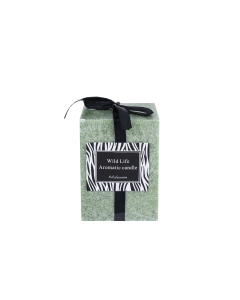 Foluk Scented Candles Green Grass