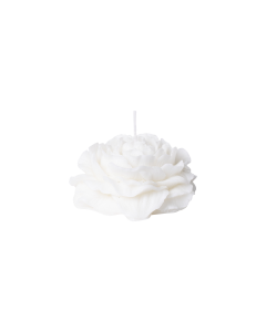 Ona Scented Candles White Jasmine