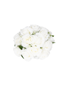 Rose Flower Cream Plastic
