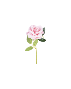 Rose Flower Baby Pink Plastic