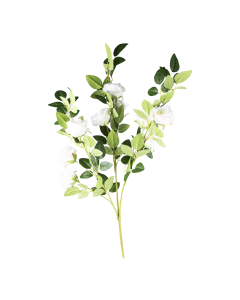 Rose Flower Cream Plastic