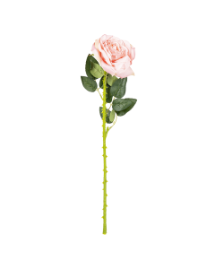Rose Flower Peach Plastic