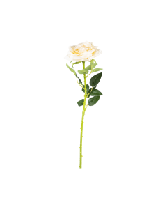 Rose Hanging Flower