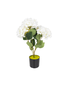 Hydrangea Flower with Pot Cream Plastic