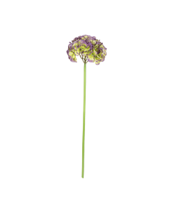 Hydrangea Flower Light Green Purple Plastic