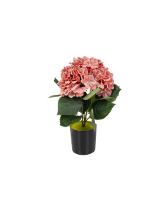 Hydrangea Flower with Pot Dark Peach Plastic