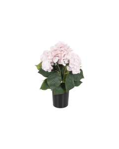 Hydrangea Flower with Pot Pale Pink Plastic