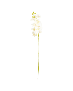 Orchid Flower White Plastic