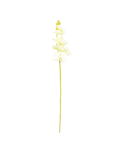 Orchid Flower Ivory White Plastic