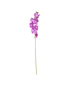 Orchid Flower Purple Plastic