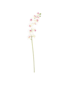 Orchid Flower White Maroon Plastic