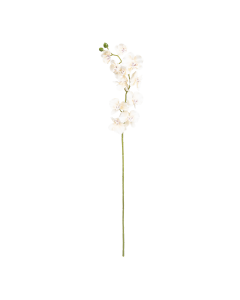 Orchid Flower White Plastic