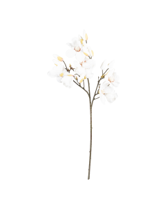 Magnolia Flower Cream Plastic