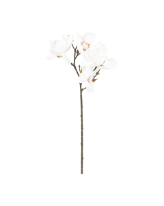 Magnolia Flower Cream Plastic