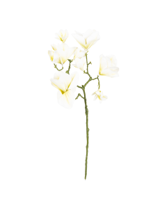 Magnolia Flower White Plastic