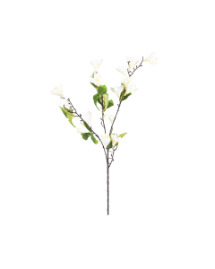 Magnolia Flower White Plastic