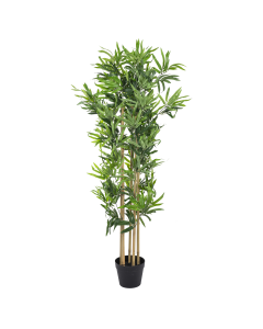 Bamboo Tree - Black