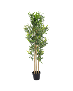 Bamboo Tree - Black