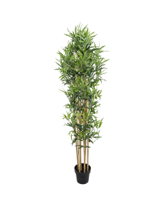 Bamboo Tree