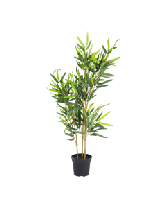 Bamboo Tree - Black