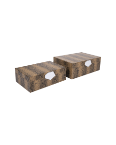 Coffin Jewelry Box