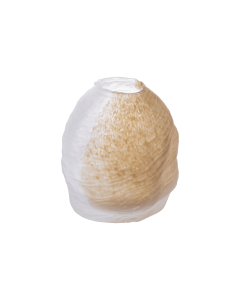 Massey Glass Vase