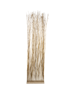 Locust Plants Beige Bamboo