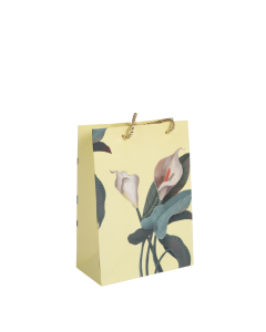 Gift Bag Cardboard