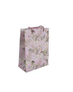 Gift Bag Cardboard