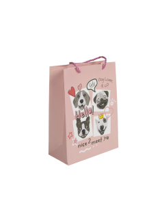 Gift Bag Cardboard