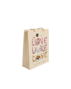Gift Bag Cardboard