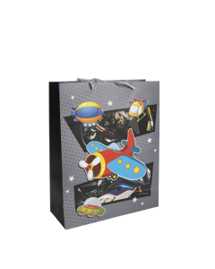 Gift Bag Cardboard