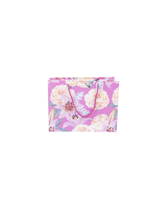 Cardboard Gift Bag