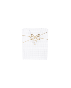 Cardboard Gift Bag