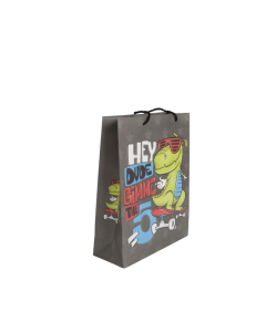 Gift Bag Cardboard
