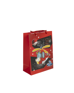 Gift Bag Cardboard