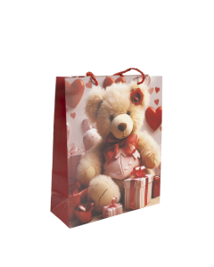 Gift Bag Cardboard