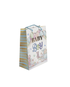 Gift Bag Cardboard